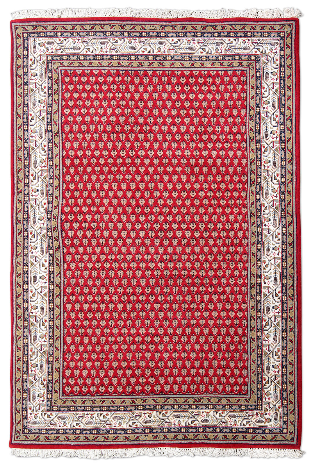 Mir Laxmi Orientteppich neu rot Indien | Schurwolle Mir Laxmi Orientteppich neu rot Indien | Schurwolle