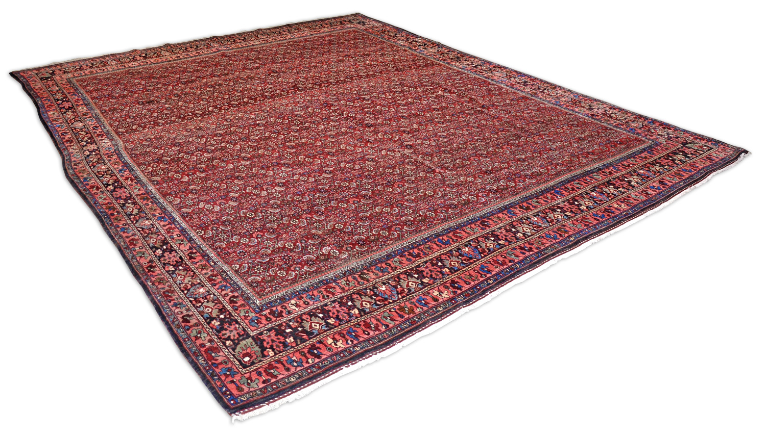 Bidjar Perserteppich allover | Herati-Muster