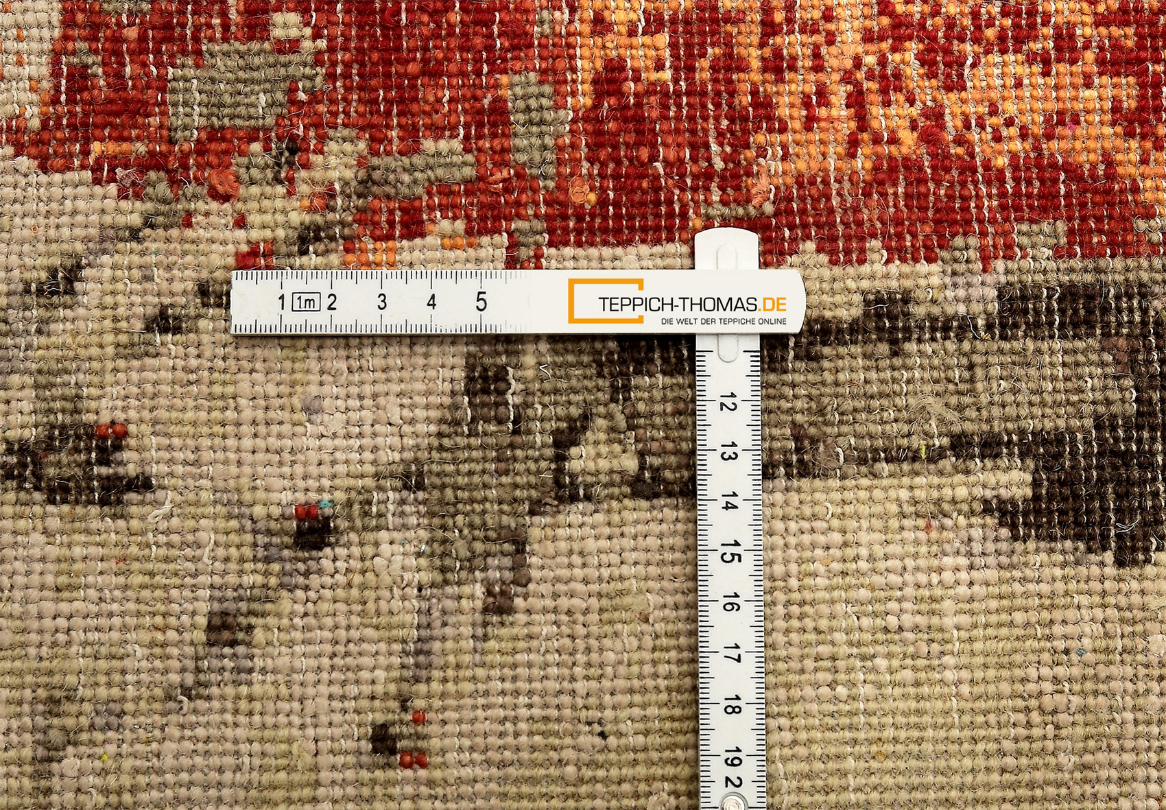 Thomas Designteppich Indien  | multicolour