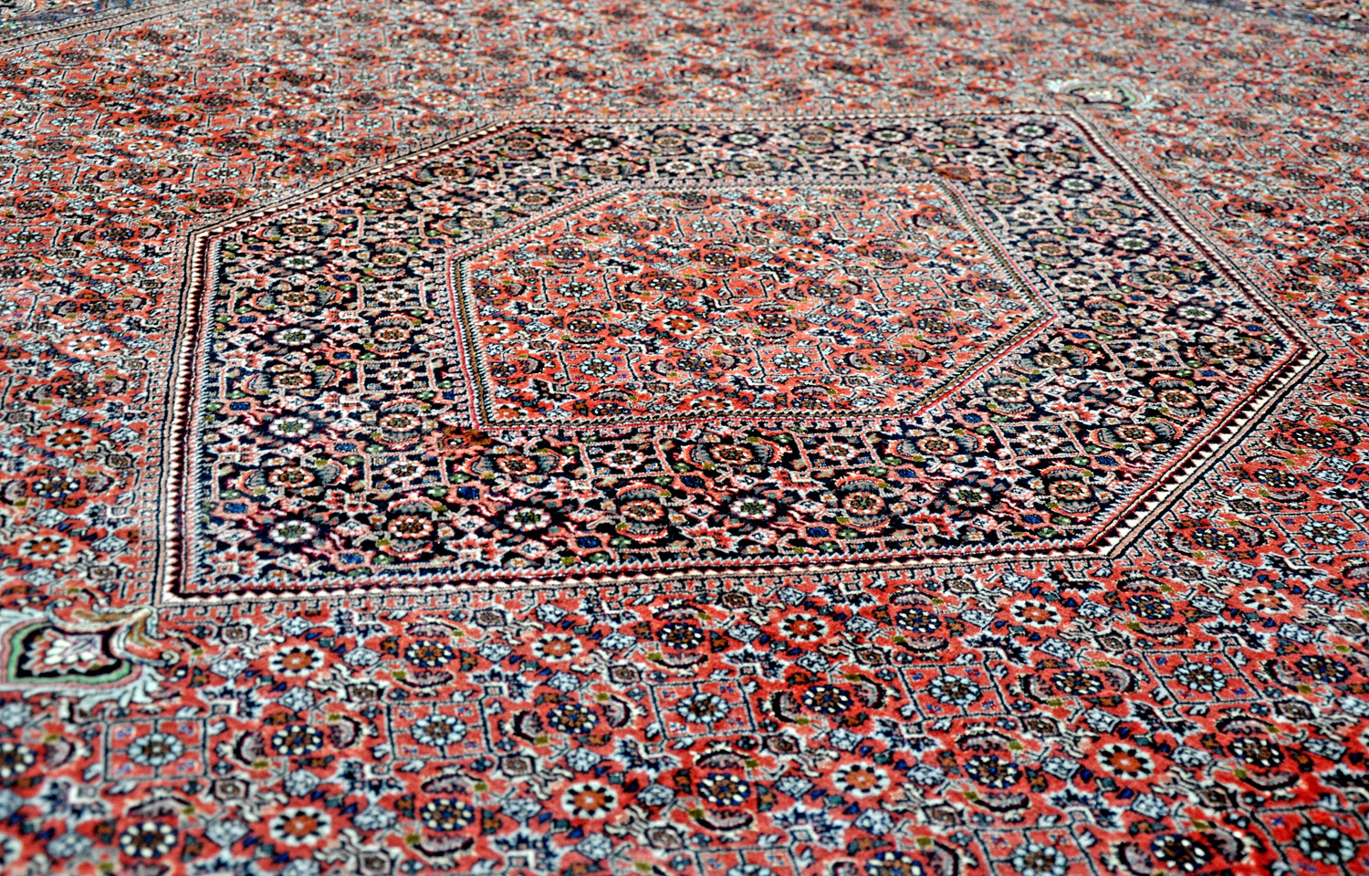 Bidjar-Tekab Perserteppich | Herati-Muster