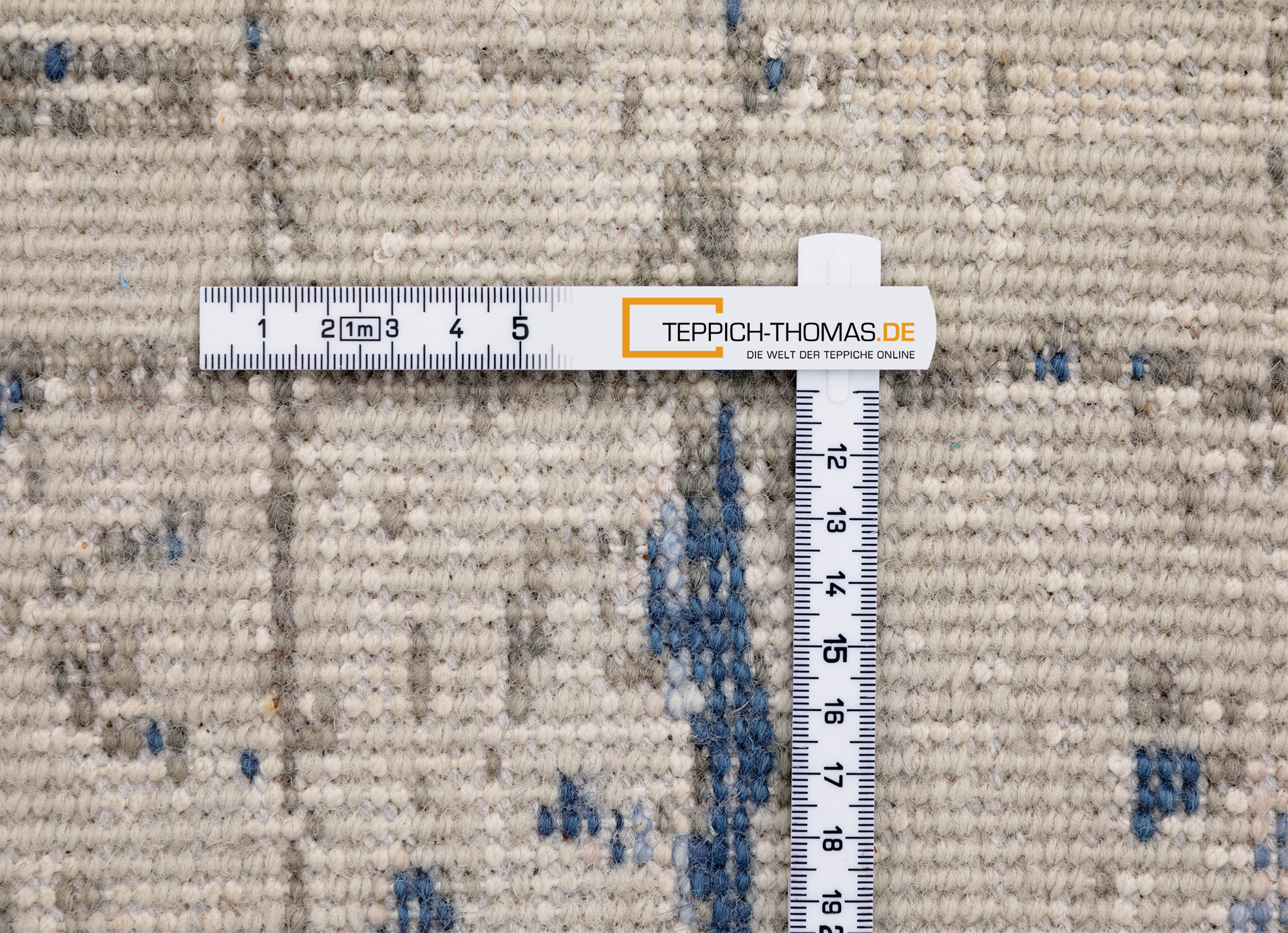 Thomas Designteppich Indien beige blau | Schurwolle