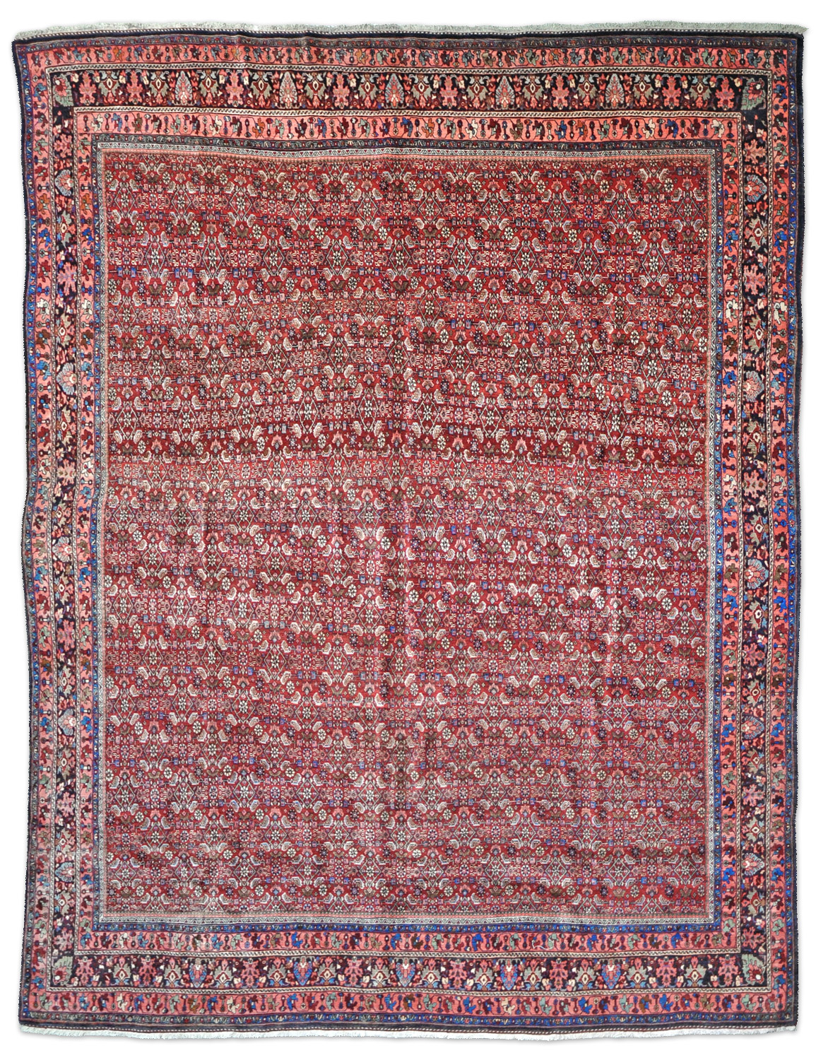 Bidjar Perserteppich allover | Herati-Muster Bidjar Perserteppich allover | Herati-Muster