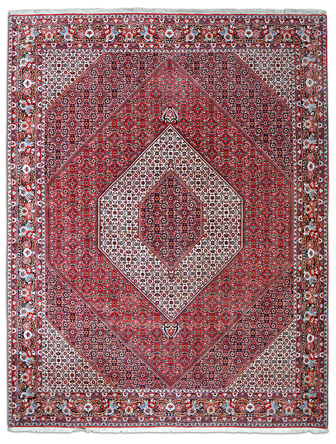 Bidjar Tekab Perserteppich | Herati-Muster Bidjar Tekab Perserteppich | Herati-Muster