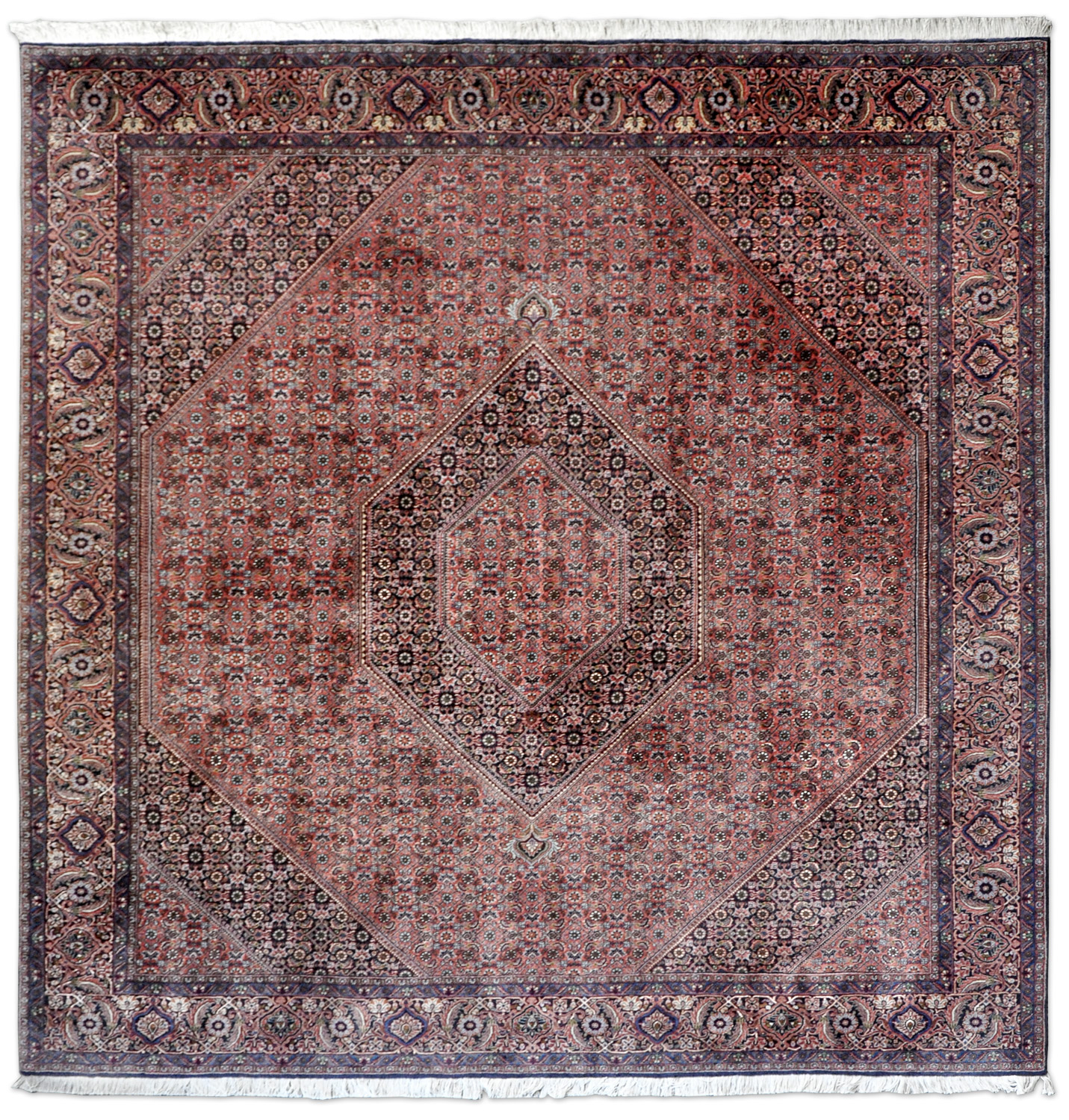 Bidjar-Tekab Perserteppich | Herati-Muster Bidjar-Tekab Perserteppich | Herati-Muster