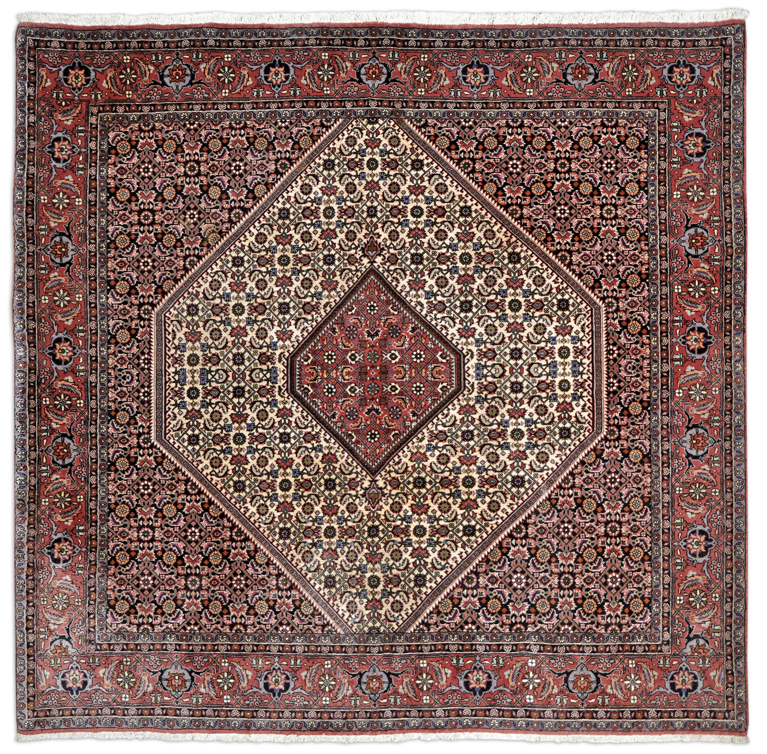 Bidjar Perserteppich neu | Herati-Muster Bidjar Perserteppich neu | Herati-Muster