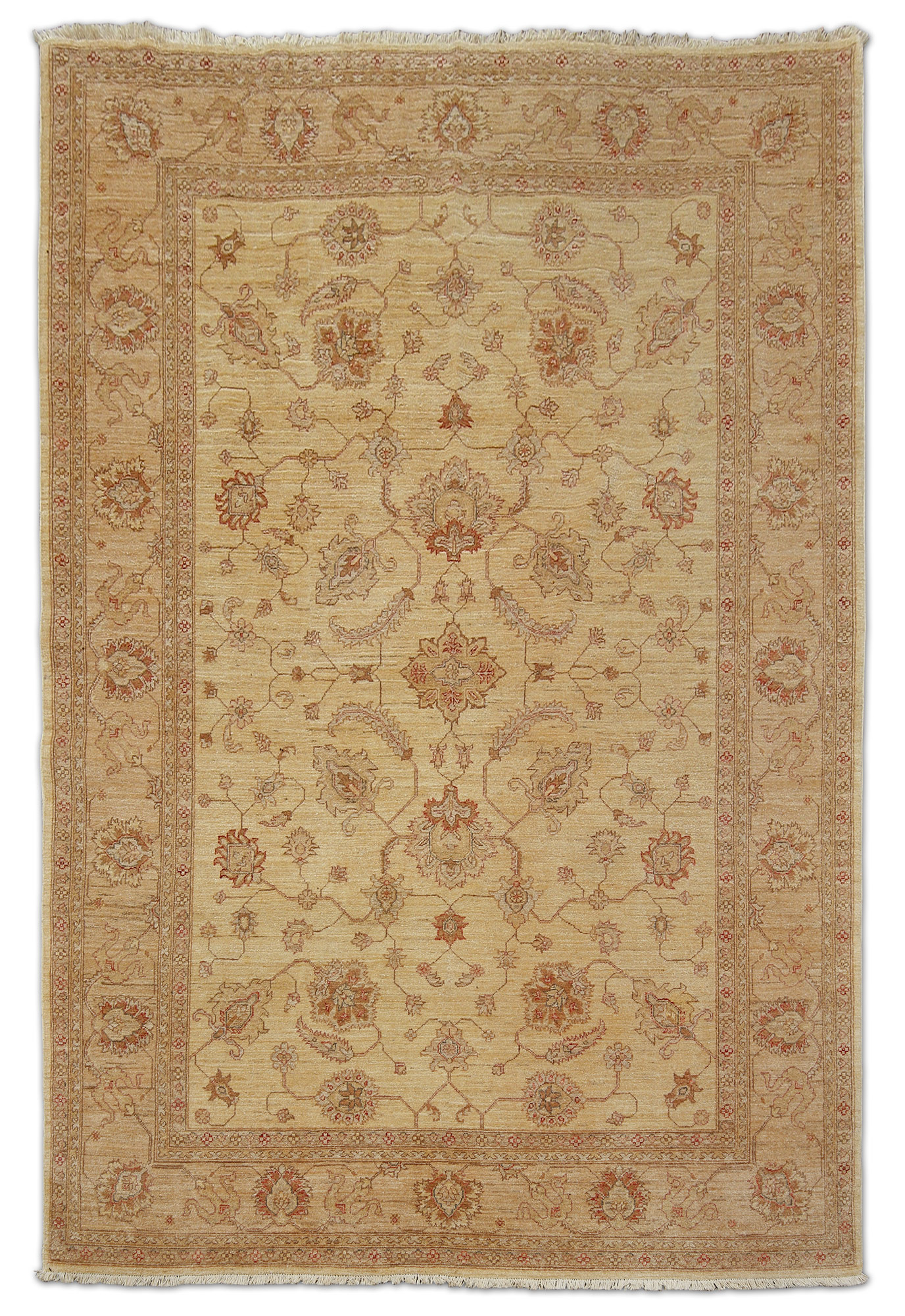 Ziegler Orientteppich neu Pakistan | Schurwolle