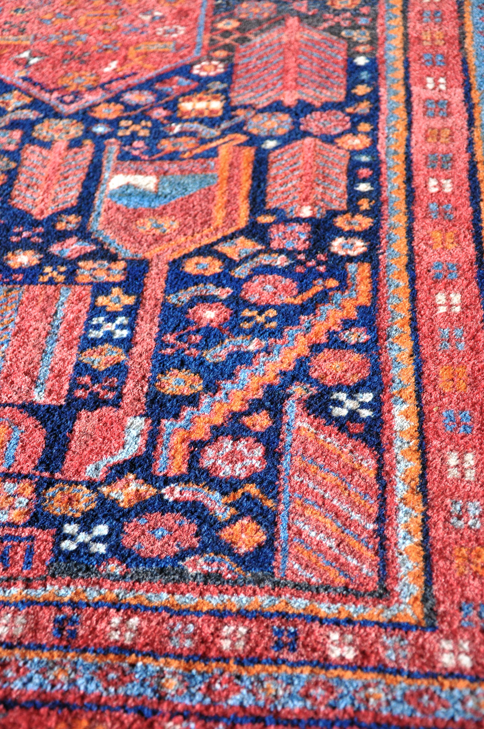 Gerus Bidjar Perserteppich