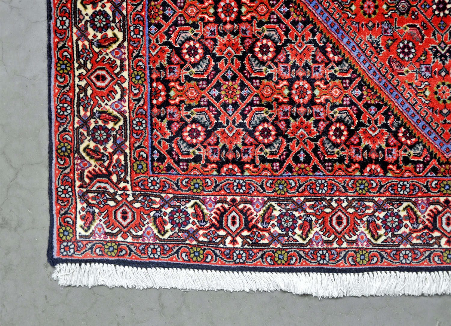 Bidjar Tekab Perserteppich neu | Herati-Muster