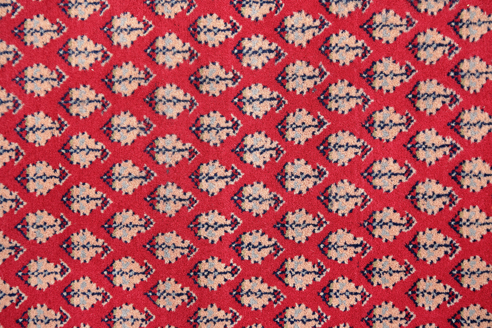 Mir Laxmi Orientteppich neu rot Indien | Schurwolle