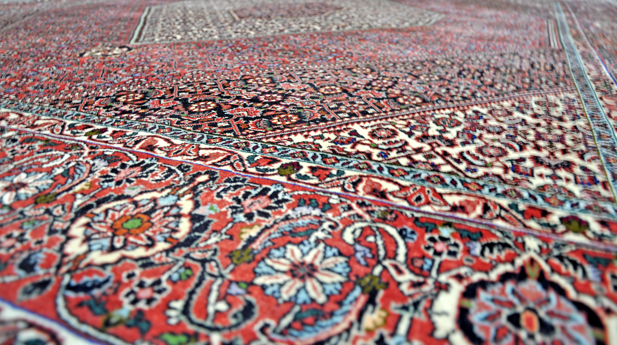 Bidjar Tekab Perserteppich neu | Herati-Muster