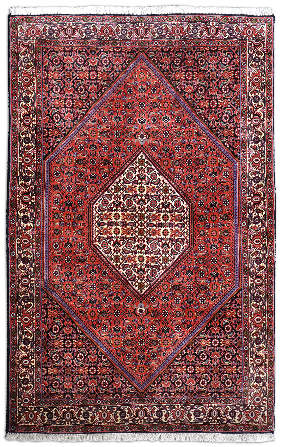 Bidjar Tekab Perserteppich neu | Herati-Muster