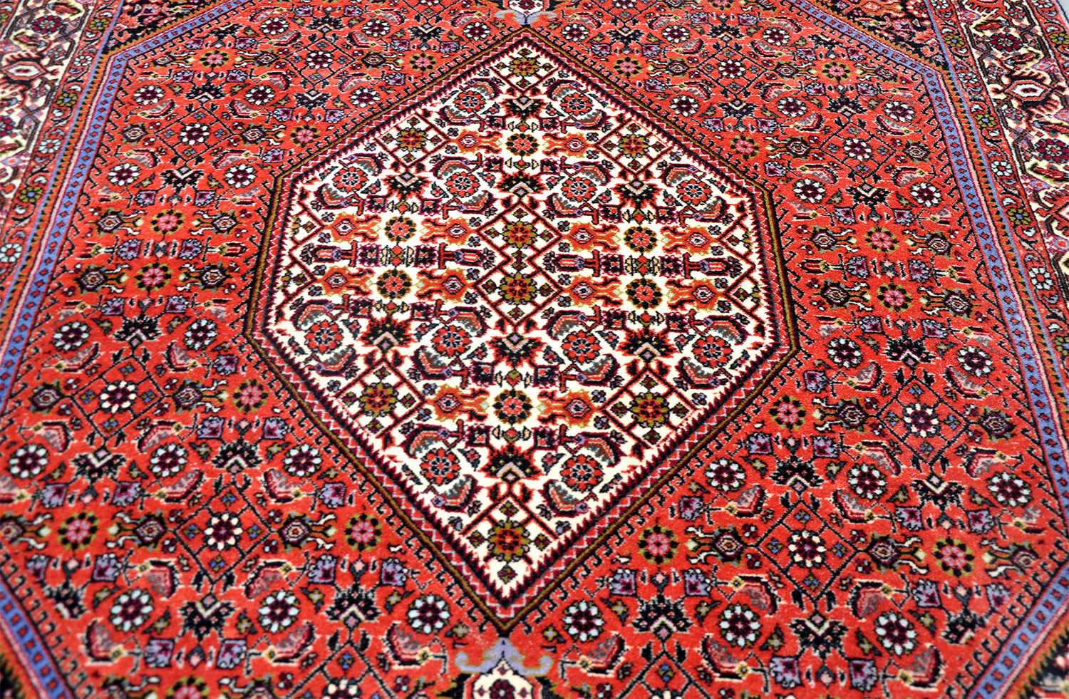 Bidjar Tekab Perserteppich neu | Herati-Muster