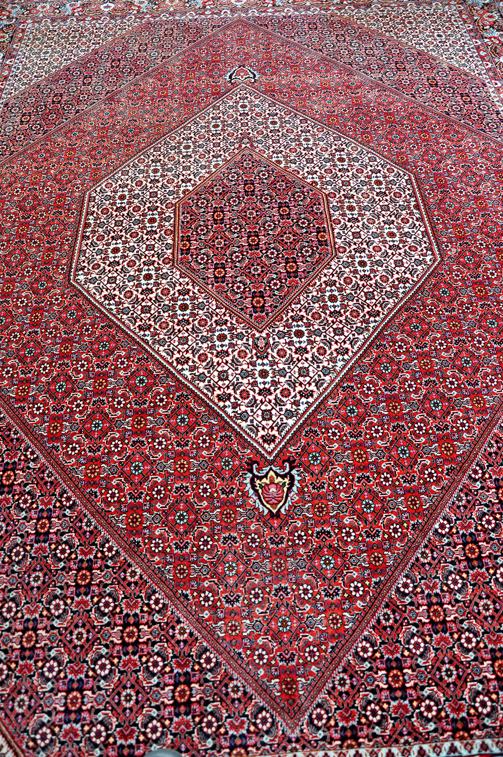 Bidjar Tekab Perserteppich | Herati-Muster