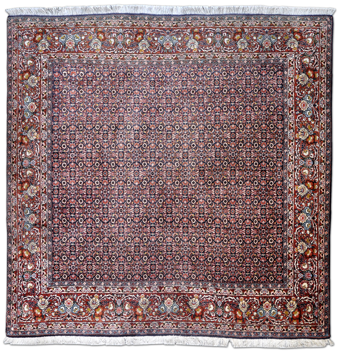 Bidjar Perserteppich neu | Herati-Muster Bidjar Perserteppich neu | Herati-Muster