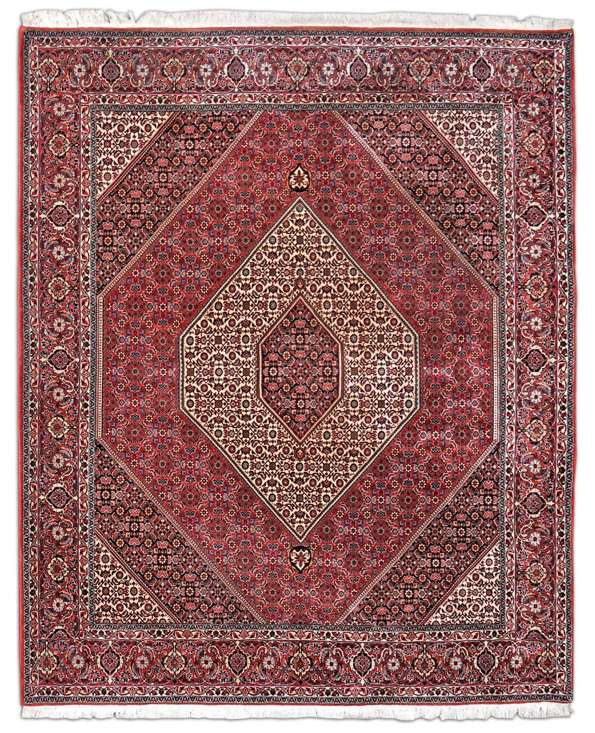 Bidjar Tekab Perserteppich neu | Herati-Muster
