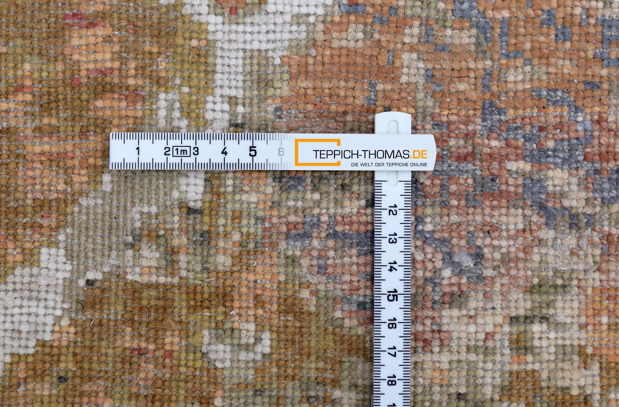 Thomas Designteppich Indien | multicolour