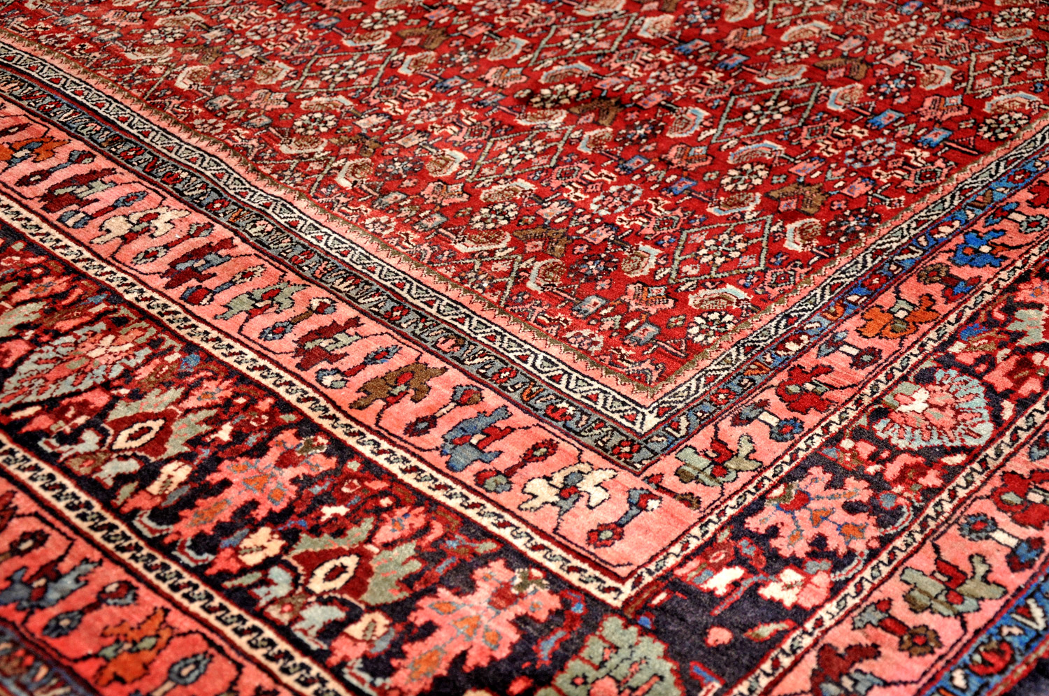 Bidjar Perserteppich allover | Herati-Muster